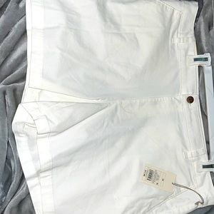 Plus size white a new day shorts